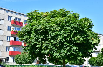 Informācija par īslaicīgu karstā ūdens padeves pakalpojuma pārtraukumu